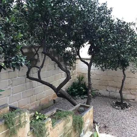 Monterussi Cavallino di Lecce