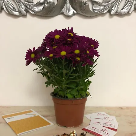 Monterussi Guest house 3*