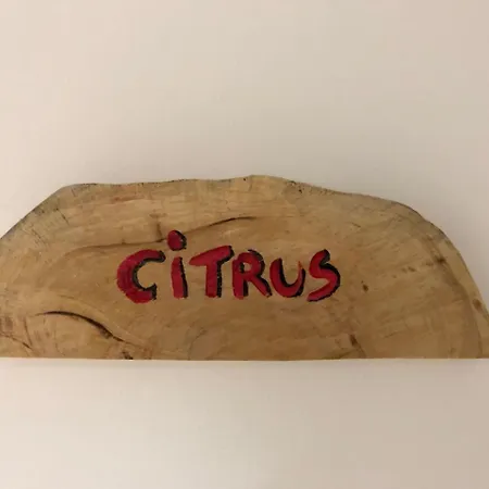 Monterussi 3* קאבאלינו די לצ'ה